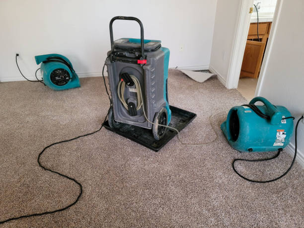 Best Flood restoration services  in Sarand, AL