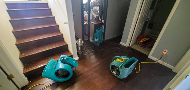 Best Emergency water damage restoration  in Sarand, AL