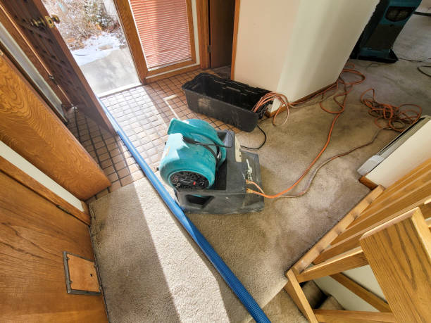 Best Water damage contractors near me  in Sarand, AL