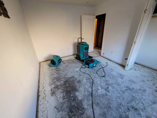 Best Local water damage restoration  in Sarand, AL