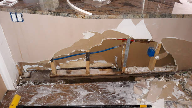 Best Fire Damage Restoration  in Sarand, AL